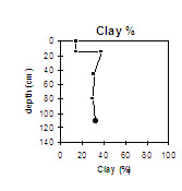 Image:  Clay - GP29