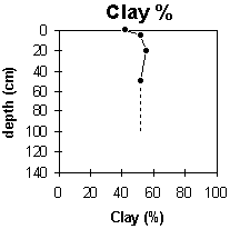 Graph: Site GP40 Clay%