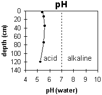 Graph: Site GP40 pH levels