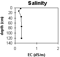 Graph: Site GP40 Salinity levels