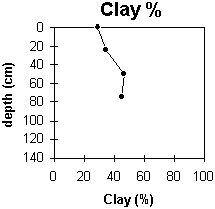 Graph: Site GP41 Clay%