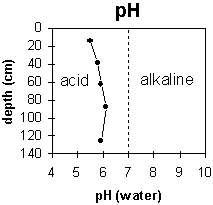 Graph: Site GP41 ph levels
