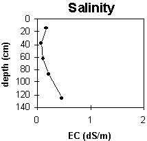 Graph: Site GP41 Salinity levels
