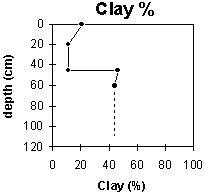 Graph: Site GP42 Clay%
