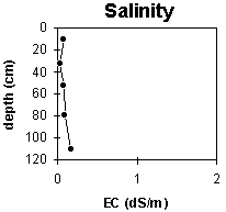 Graph: Site GP42 Salinity levels