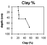 Graph: Site GP43 Clay%