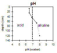 Graph: Site GP45 pH levels