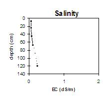 Graph: Site GP45 Salinity levels