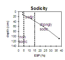 Graph: Site GP45 sodicity