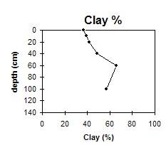 GP47 clay