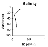Graph: Soil Site GP51, Salinity Levels