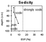 Graph: Soil Site GP 51, Sodicity levels