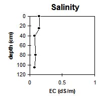 Photo: Site GP60 salinity