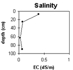 Graph: Salinity levels in Site G73