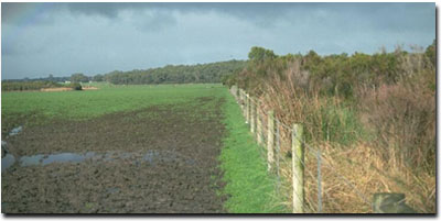Photo: West Gippsland Soil Site SG1 Landscape