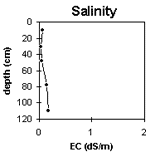 Graph: West Gippsland Soil Site SG2, Salinity levels