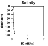 Graph: Soil Site SG7 Salinity levels