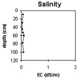 Graph: Site SG9 Salinity levels