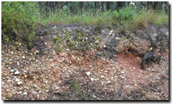 Photo: Stony soil profile in road cutting near Lake Glenmaggie.