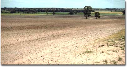 Sandier soils inthe  foreground are most susceptible to wind erosion