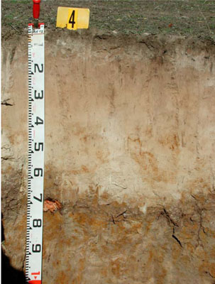 WLRA - soil pit ALRA67 - profile