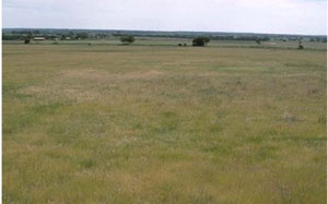 WLRA - soil pit LS10- landscape