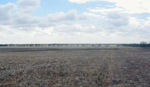 WLRA - soil pit Topcrop 1a- landscape