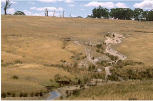 WLRA - soil pit WW25- landscape