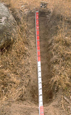 WLRA - soil pit WW25- profile